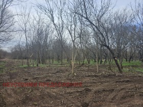 Plot Chernomorets, region Burgas 13