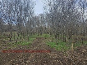 Plot Chernomorets, region Burgas 11