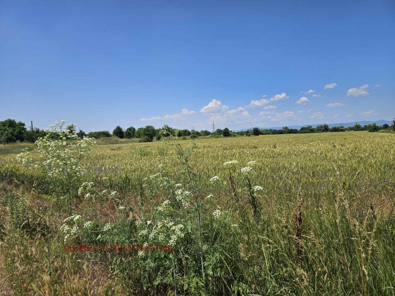 Продаја  Плот Софија , Левски Г , 4950 м2 | 83604971 - слика [2]