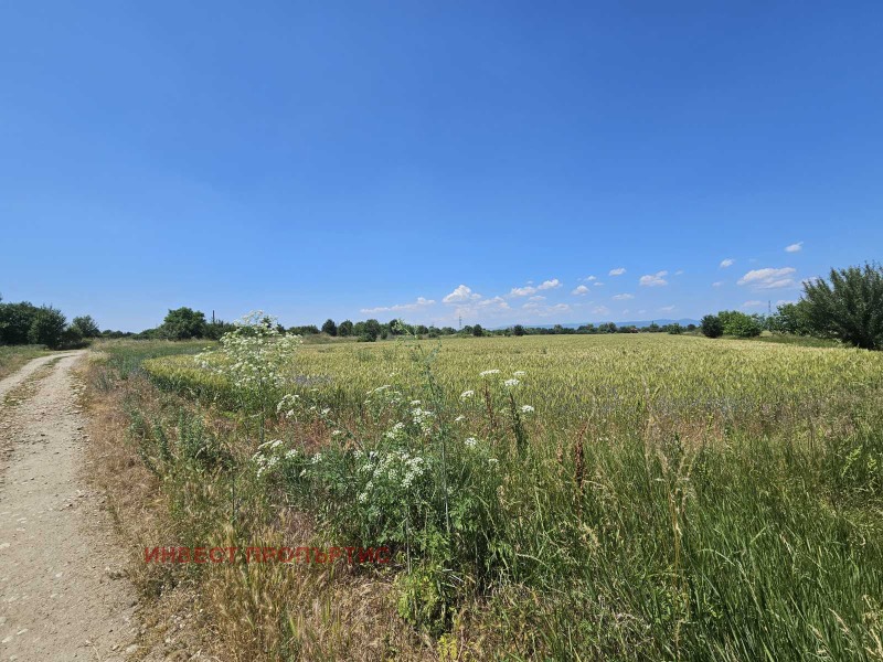 Продаја  Плот Софија , Левски Г , 4950 м2 | 83604971