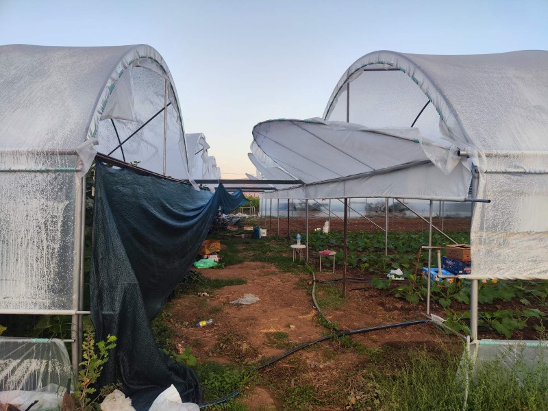 Продава ЗЕМЕДЕЛСКА ЗЕМЯ, с. Кърналово, област Благоевград, снимка 3 - Земеделска земя - 52134483