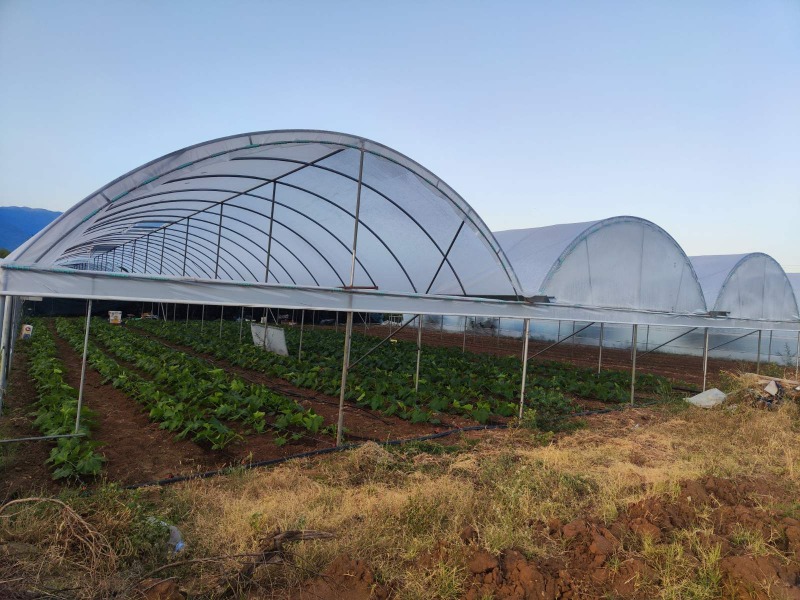 Продава ЗЕМЕДЕЛСКА ЗЕМЯ, с. Кърналово, област Благоевград, снимка 4 - Земеделска земя - 52134483