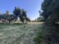 Продава  Парцел област Велико Търново , с. Руховци , 1160 кв.м | 60614200 - изображение [2]