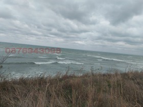 ����� ������� ������,�. ������, ������ ������