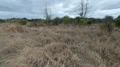 Продава ПАРЦЕЛ, с. Крапец, област Добрич, снимка 3