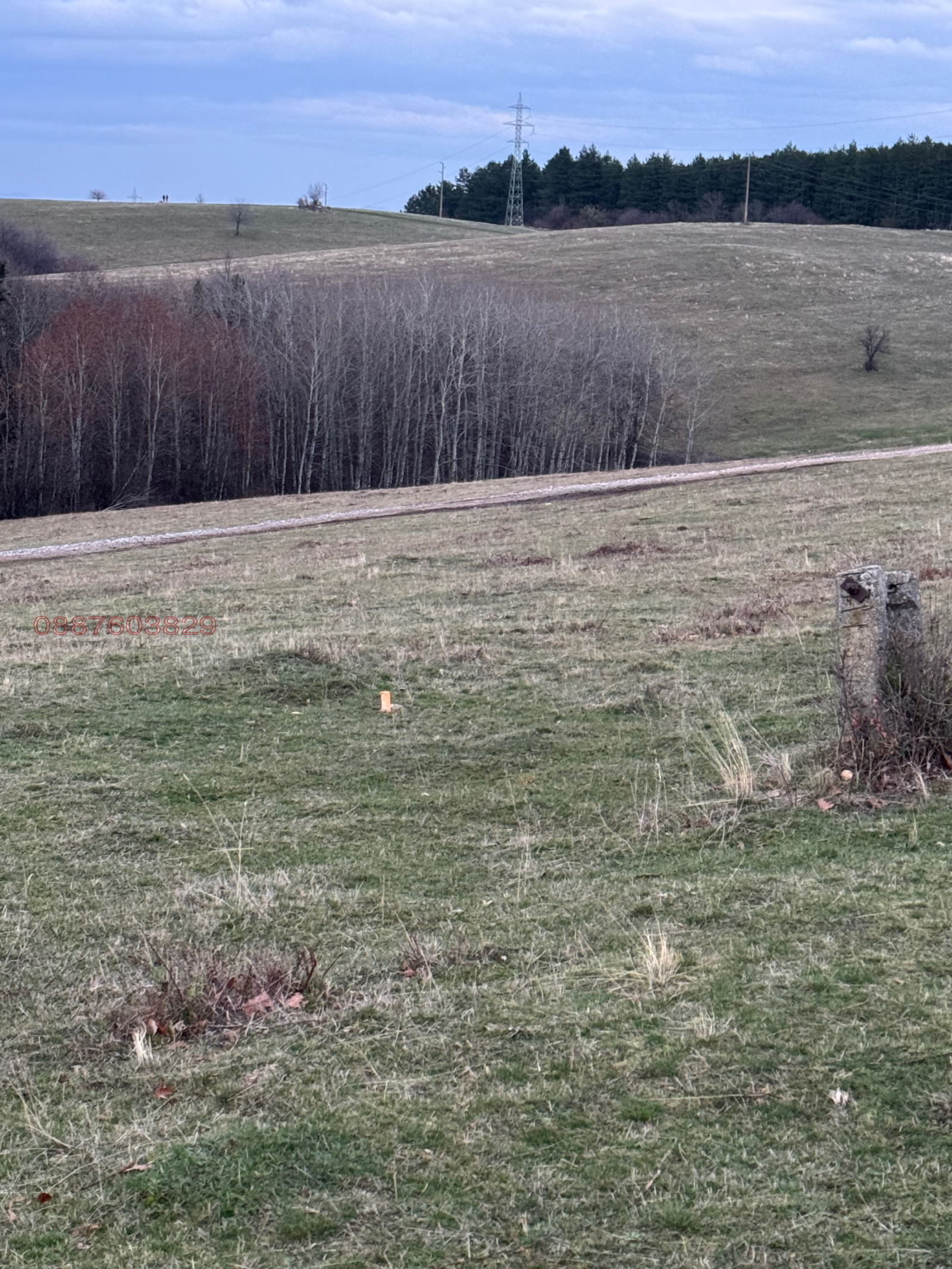 ������� ������ | Imot.bg � ����������� 13