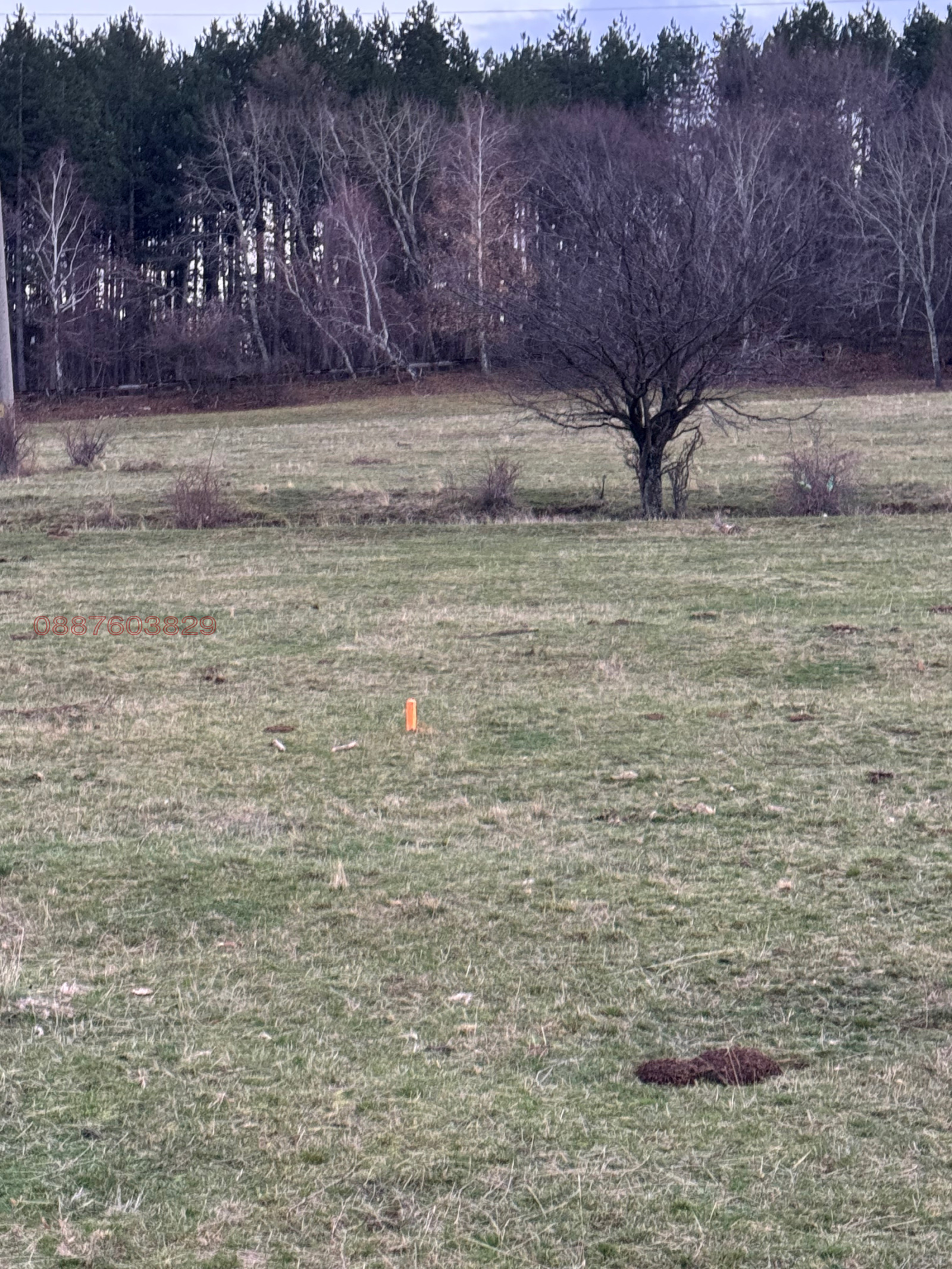 ������� ������ | Imot.bg � ����������� 14