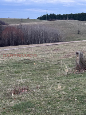 ������� ������ | Imot.bg � ����� ������ 13