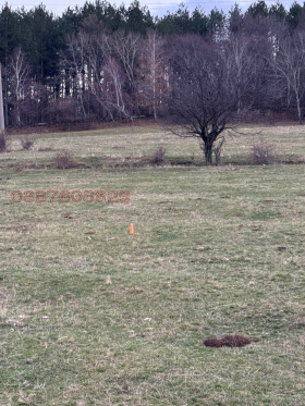 ������� ������ | Imot.bg � ����� ������ 14