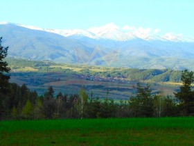 Grund Godlevo, region Blagoevgrad 9