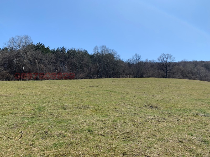 Till salu  Komplott Sofia , Gorna banja , 750 kvm | 81031235 - bild [6]