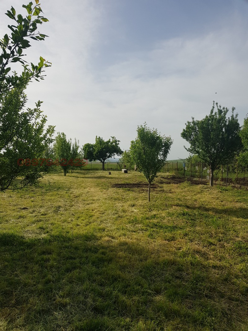 Продава ПАРЦЕЛ, с. Долни Раковец, област Перник, снимка 2 - Парцели - 53130760