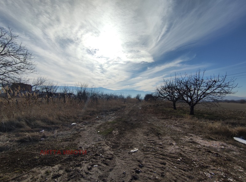 Na prodej  Přistát oblast Plovdiv , Plovdiv , 12500 dka | 56385968 - obraz [5]