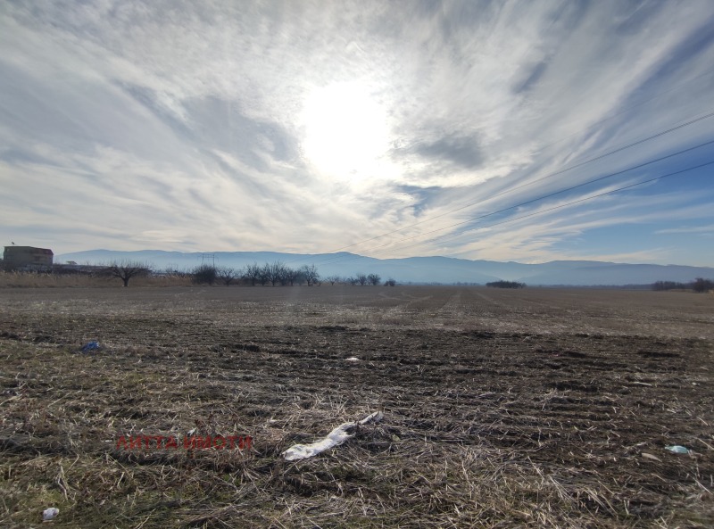 Na prodej  Přistát oblast Plovdiv , Plovdiv , 12500 dka | 56385968 - obraz [3]
