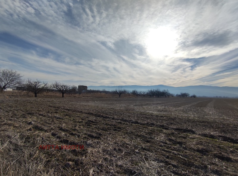 Na prodej  Přistát oblast Plovdiv , Plovdiv , 12500 dka | 56385968 - obraz [2]