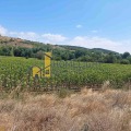 Продава ПАРЦЕЛ, област София, с. Алдомировци • 78400 € • 39977162 — Holmes.bg