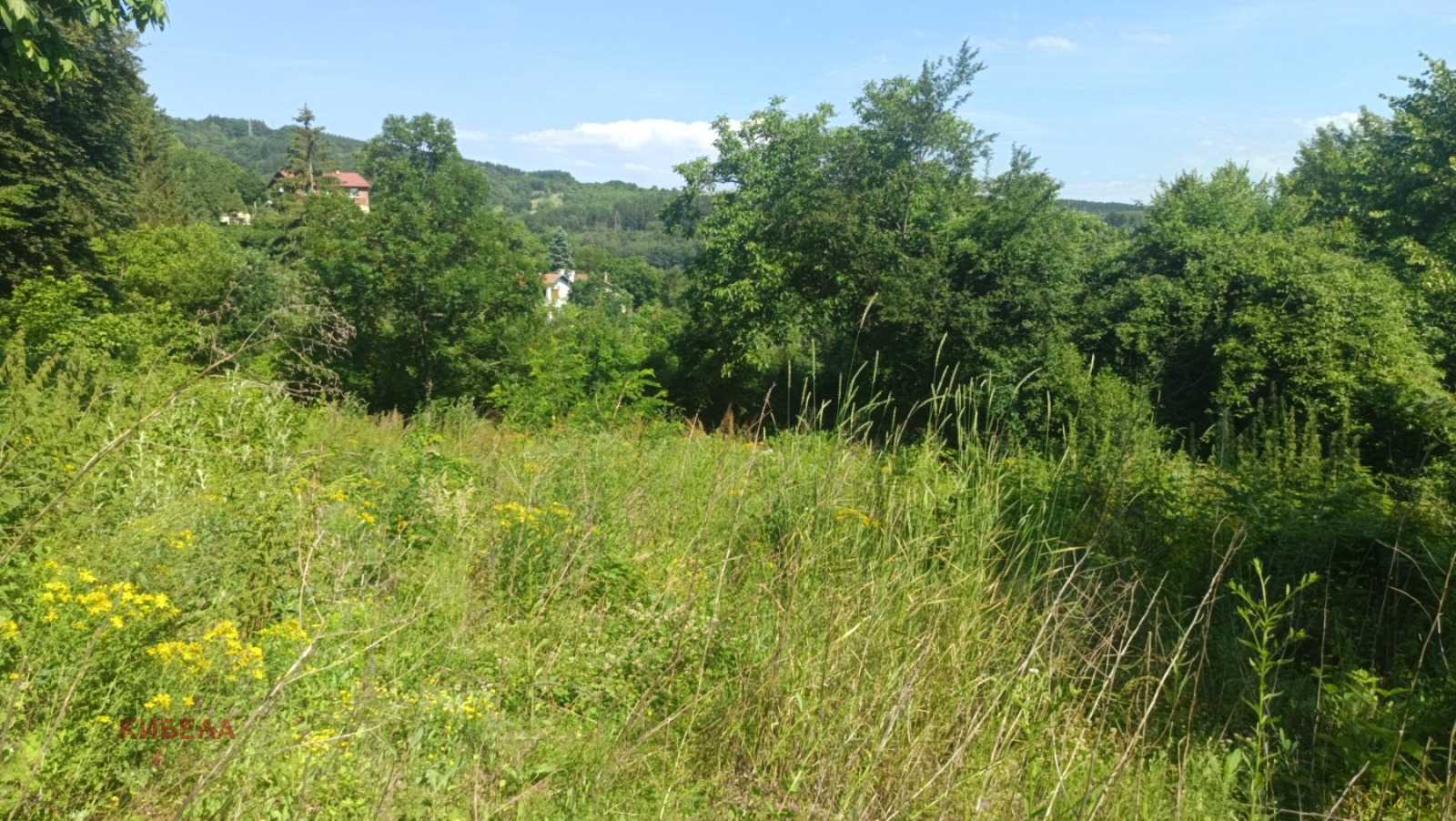 ������� ������ | Imot.bg � ����������� 10