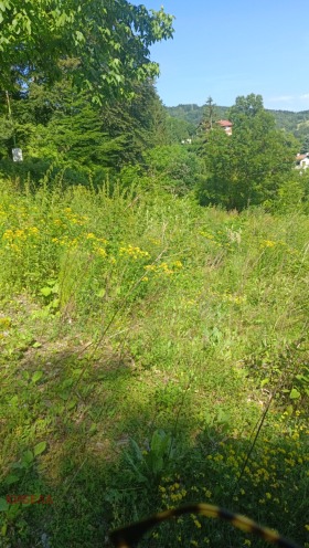 ������� ������ | Imot.bg � ����� ������ 12
