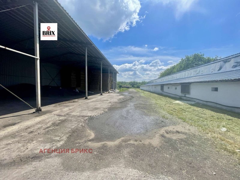Продава БИЗНЕС ИМОТ, с. Борисово, област Русе, снимка 2 - Други - 50402553
