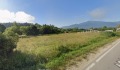 Продава ПАРЦЕЛ, с. Баня, област Благоевград, снимка 7