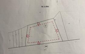 ����� ������� ������,�. �������, ������ ���������