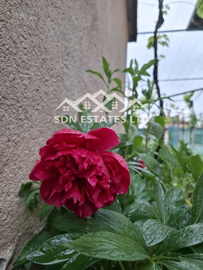 Продава КЪЩА, гр. Казанлък, област Стара Загора, снимка 17 - Къщи - 52622380