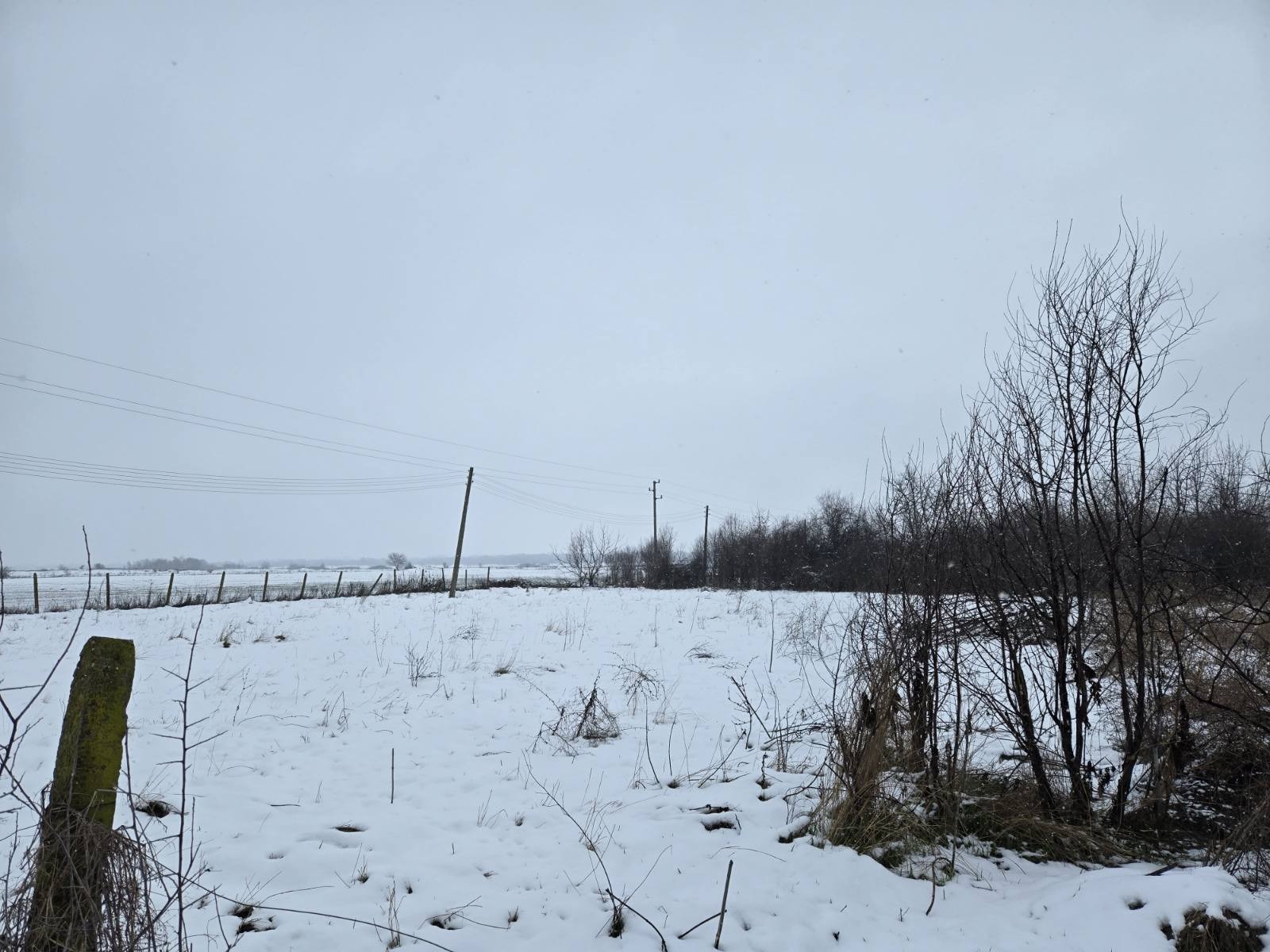 Продава ПАРЦЕЛ, с. Калояновец, област Стара Загора, снимка 2 - Парцели - 48719292