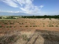 Продава ЗЕМЕДЕЛСКА ЗЕМЯ, с. Войнягово, област Пловдив, снимка 2