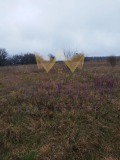 Продава ПАРЦЕЛ, област Добрич, с. Соколово • 26800 € • 19792565 — Holmes.bg