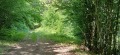 Продава ПАРЦЕЛ, с. Дивчовото, област Ловеч, снимка 2