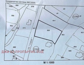 ������ ������� ������