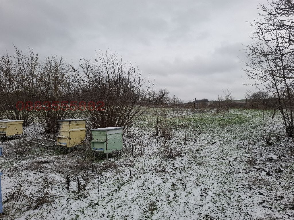 ������� ���� | Imot.bg � ����������� 8