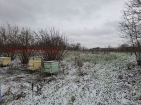 ������� ���� | Imot.bg � ����� ������ 8