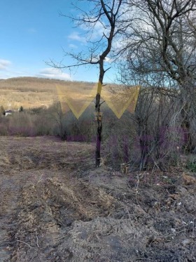 ������� ������ | Imot.bg � ����� ������ 2