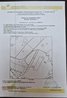 ����� ������� ������,���� ����� ������, �������