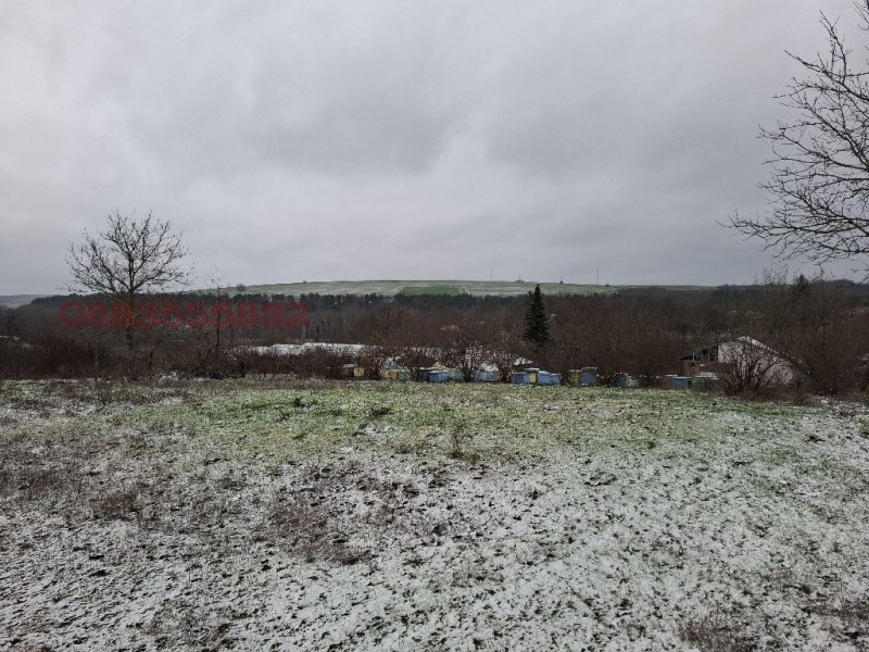 Продава КЪЩА, с. Сребърна, област Силистра, снимка 10 - Къщи - 52899995