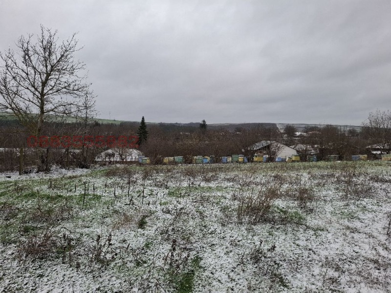 Продава КЪЩА, с. Сребърна, област Силистра, снимка 9 - Къщи - 52899995