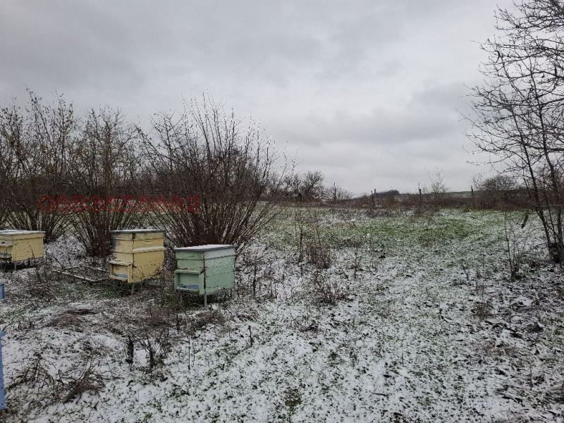 Продава КЪЩА, с. Сребърна, област Силистра, снимка 8 - Къщи - 52899995