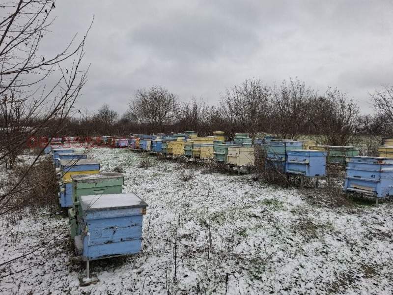 Продава КЪЩА, с. Сребърна, област Силистра, снимка 7 - Къщи - 52899995