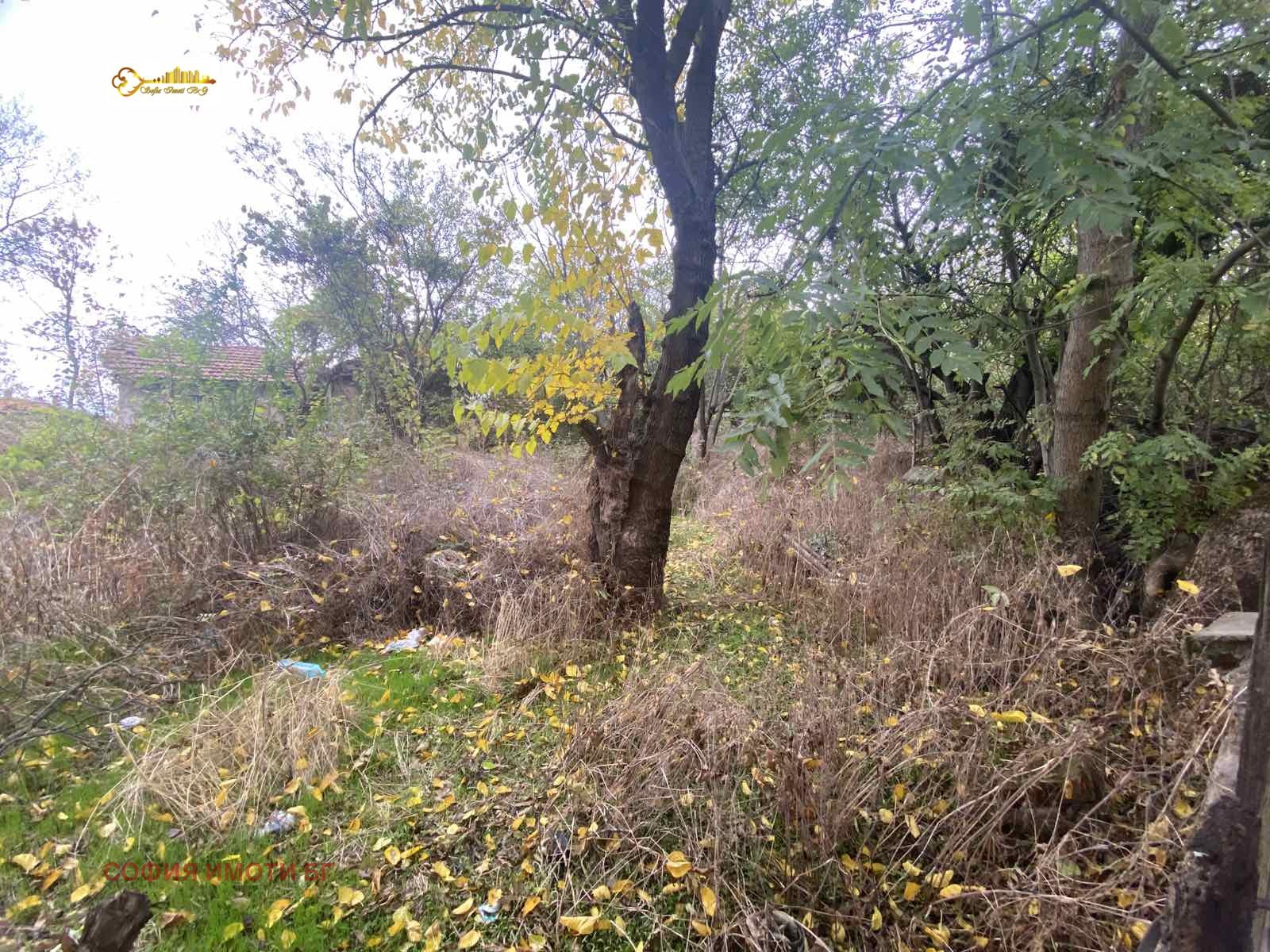 Продава ПАРЦЕЛ, гр. София, гр. Бухово, снимка 2 - Парцели - 56731502