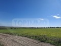 Продава ПАРЦЕЛ, с. Кичево, област Варна, снимка 1