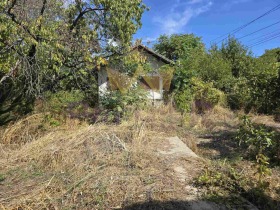Eladó Cselekmény