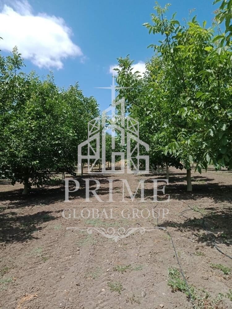 Продава КЪЩА, с. Малка поляна, област Бургас, снимка 2 - Къщи - 54228466