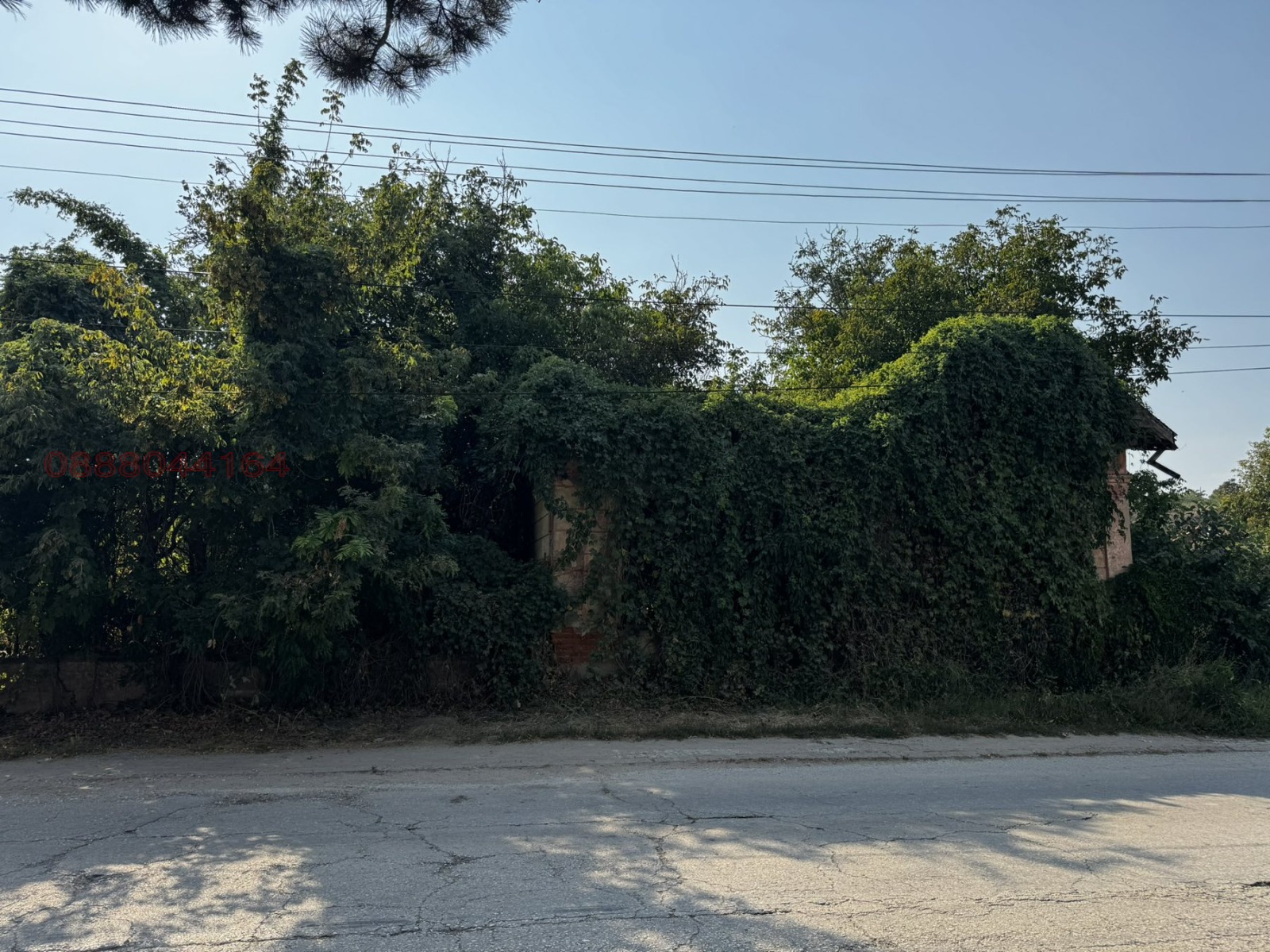 Продава ПАРЦЕЛ, с. Комарево, област Плевен, снимка 3 - Парцели - 56068731