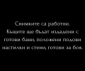 Продава КЪЩА, гр. София, с. Панчарево, снимка 5