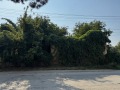 Продава ПАРЦЕЛ, с. Комарево, област Плевен, снимка 3