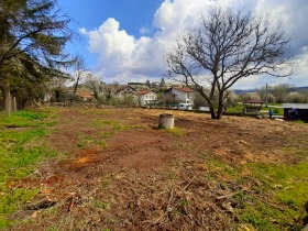 ����� ������� ������,�. ���������, ������ �����