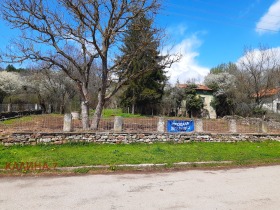 ����� ������� ������,�. ���������, ������ �����