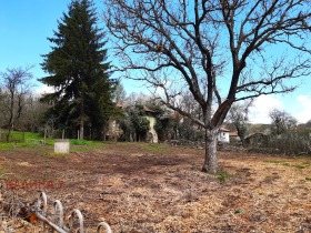 ����� ������� ������,�. ���������, ������ �����>