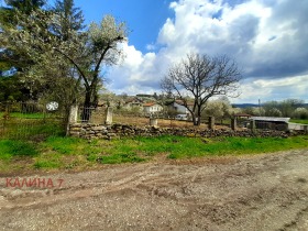 ����� ������� ������,�. ���������, ������ �����